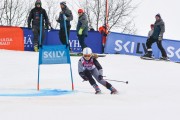 FIS Baltijas kauss 2.posms, jauniešu un meistaru GS, Foto: E.Lukšo