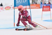 FIS Baltijas kauss 2.posms, jauniešu un meistaru GS, Foto: E.Lukšo