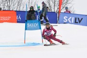 FIS Baltijas kauss 2.posms, jauniešu un meistaru GS, Foto: E.Lukšo