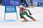 FIS Baltijas kauss 2.posms, jauniešu un meistaru GS, Foto: E.Lukšo