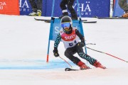 FIS Baltijas kauss 2.posms, jauniešu un meistaru GS, Foto: E.Lukšo