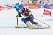 FIS Baltijas kauss 2.posms, jauniešu un meistaru GS, Foto: E.Lukšo