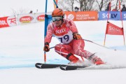 FIS Baltijas kauss 2.posms, jauniešu un meistaru GS, Foto: E.Lukšo