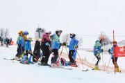 FIS Baltijas kauss 2.posms, jauniešu un meistaru GS, Foto: E.Lukšo