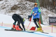 FIS Baltijas kauss 2.posms, jauniešu un meistaru GS, Foto: E.Lukšo