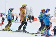 FIS Baltijas kauss 2.posms, jauniešu un meistaru GS, Foto: E.Lukšo