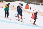 FIS Baltijas kauss 2.posms, jauniešu un meistaru GS, Foto: E.Lukšo