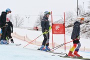 FIS Baltijas kauss 2.posms, jauniešu un meistaru GS, Foto: E.Lukšo