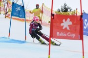 FIS Baltijas kauss 2.posms, jauniešu un meistaru GS, Foto: E.Lukšo