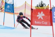 FIS Baltijas kauss 2.posms, jauniešu un meistaru GS, Foto: E.Lukšo