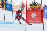 FIS Baltijas kauss 2.posms, jauniešu un meistaru GS, Foto: E.Lukšo