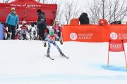 FIS Baltijas kauss 2.posms, jauniešu un meistaru GS, Foto: E.Lukšo