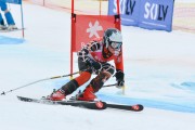 FIS Baltijas kauss 2.posms, jauniešu un meistaru GS, Foto: E.Lukšo