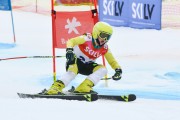 FIS Baltijas kauss 2.posms, jauniešu un meistaru GS, Foto: E.Lukšo