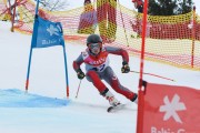 FIS Baltijas kauss 2.posms, jauniešu un meistaru GS, Foto: E.Lukšo