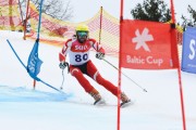 FIS Baltijas kauss 2.posms, jauniešu un meistaru GS, Foto: E.Lukšo