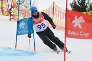 FIS Baltijas kauss 2.posms, jauniešu un meistaru GS, Foto: E.Lukšo