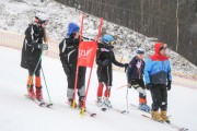 FIS Baltijas kauss 2.posms, jauniešu un meistaru PSL, Foto: E.Lukšo