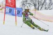 FIS Baltijas kauss 2.posms, jauniešu un meistaru PSL, Foto: E.Lukšo