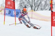 FIS Baltijas kauss 2.posms, jauniešu un meistaru PSL, Foto: E.Lukšo