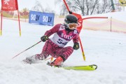 FIS Baltijas kauss 2.posms, jauniešu un meistaru PSL, Foto: E.Lukšo