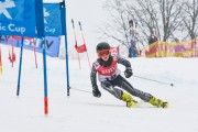 FIS Baltijas kauss 2.posms, jauniešu un meistaru PSL, Foto: E.Lukšo