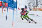 FIS Baltijas kauss 2.posms, jauniešu un meistaru PSL, Foto: E.Lukšo