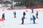 FIS Baltijas kauss 2.posms, jauniešu un meistaru PSL, Foto: E.Lukšo