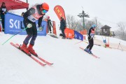 FIS Baltijas kauss 2.posms, jauniešu un meistaru PSL, Foto: E.Lukšo