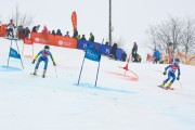 FIS Baltijas kauss 2.posms, jauniešu un meistaru PSL, Foto: E.Lukšo