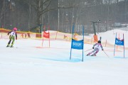 FIS Baltijas kauss 2.posms, jauniešu un meistaru PSL, Foto: E.Lukšo