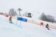 FIS Baltijas kauss 2.posms, jauniešu un meistaru PSL, Foto: E.Lukšo