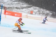 FIS Baltijas kauss 2.posms, jauniešu un meistaru PSL, Foto: E.Lukšo