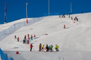 FIS Baltijas kauss 3.posms, SG un AC, Foto: E.Lukšo