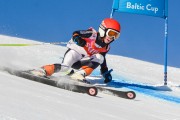 FIS Baltijas kauss 3.posms, SG un AC, Foto: E.Lukšo