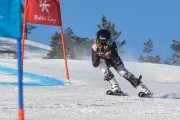 FIS Baltijas kauss 3.posms, SG un AC, Foto: E.Lukšo