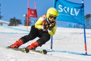 FIS Baltijas kauss 3.posms, SG un AC, Foto: E.Lukšo