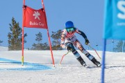 FIS Baltijas kauss 3.posms, SG un AC, Foto: E.Lukšo