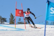 FIS Baltijas kauss 3.posms, SG un AC, Foto: E.Lukšo