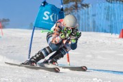 FIS Baltijas kauss 3.posms, SG un AC, Foto: E.Lukšo