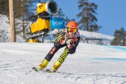 FIS Baltijas kauss 3.posms, SG un AC, Foto: E.Lukšo