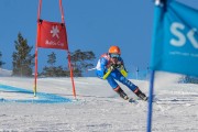 FIS Baltijas kauss 3.posms, SG un AC, Foto: E.Lukšo