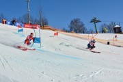 Baltijas kauss 2018 2.posms, jauniešu un meistaru PSL fināli, Foto: E.Lukšo