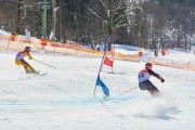 Baltijas kauss 2018 2.posms, jauniešu un meistaru PSL fināli, Foto: E.Lukšo