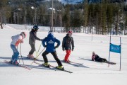 FIS Baltijas kauss 3.posms, GS, Foto: E.Lukšo