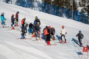 FIS Baltijas kauss 3.posms, GS, Foto: E.Lukšo