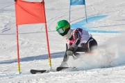 FIS Baltijas kauss 3.posms, GS, Foto: E.Lukšo