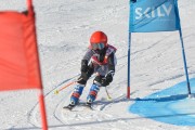 FIS Baltijas kauss 3.posms, GS, Foto: E.Lukšo