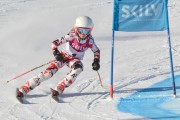 FIS Baltijas kauss 3.posms, GS, Foto: E.Lukšo