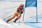 FIS Baltijas kauss 3.posms, GS, Foto: E.Lukšo